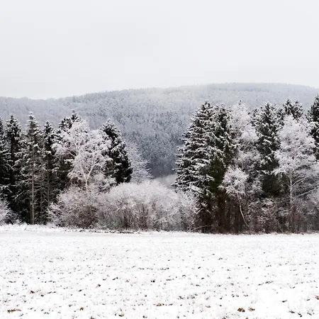 Waldhaus 'photographie' Im Ruwertal, Trier Holiday home